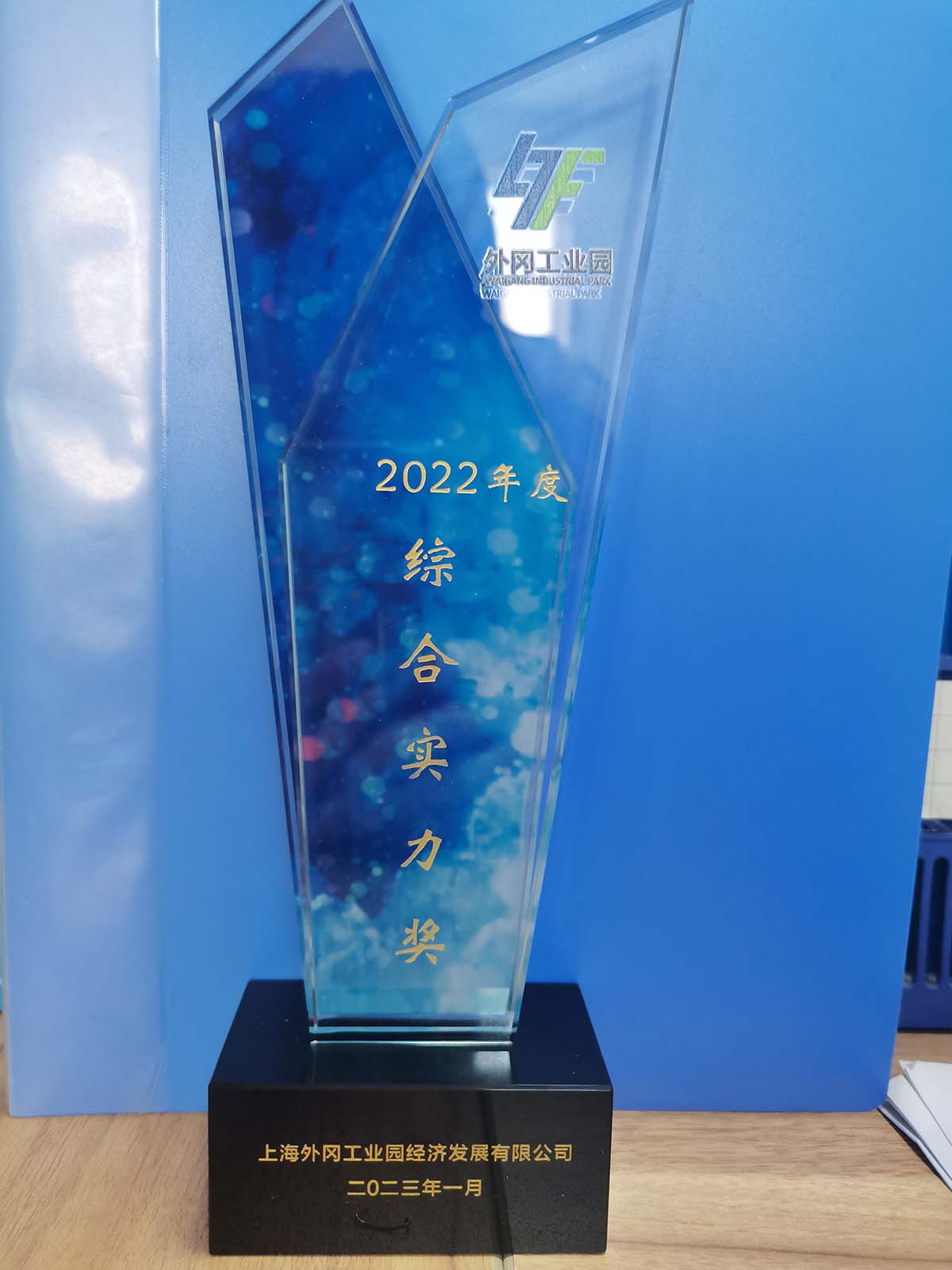 Waigang Industrial Park "Comprehensive Strength Award"